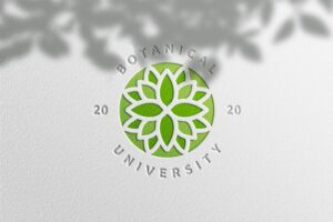 Simple logo mockup in white paper with plant shadow