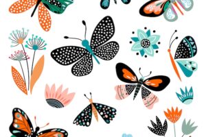 Butterflies and flowers, hand drawn collection of different elements, isolated