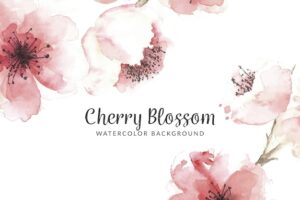 Cherry blossom background in watercolor style