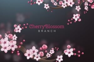 Cherry blossom tree background