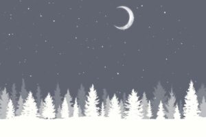 Christmas background with winter tree landscape and moonlit snowy sky