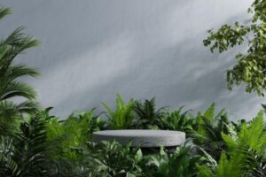Concrete podium in tropical forest for product presentation3d rendering