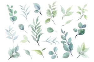 Green leaves element collection with watercolor