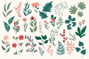 Hand drawn floral decorative elements, leaves, flowers, herbs and branches botanical doodles set