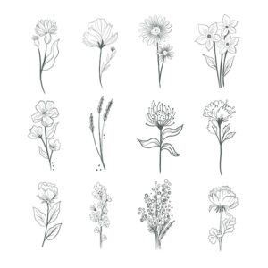 Hand drawn flower collection