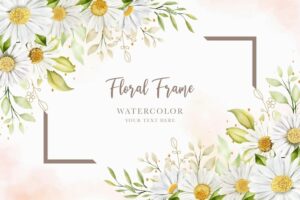 Hand drawn watercolor daisy flower background design
