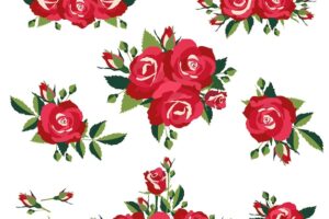 Inflorescence or bouquets of roses  vector illustration
