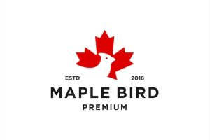 Maple bird logo design vector illustration