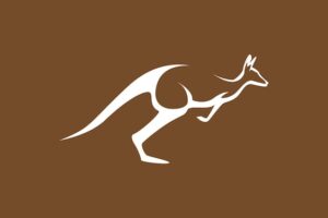 Modern shape kangaroo jump logo symbol vector icon illustration graphic design