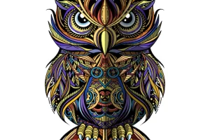 Owl drawn in zentangle style