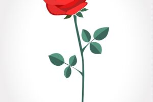 Red artistic rose