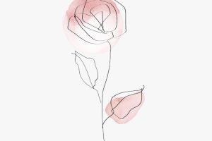 Rose flower vector line art minimal pink pastel illustration