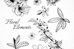 Set of floral elements