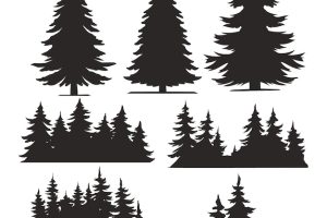 Vintage trees and forest silhouettes set