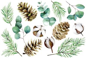Watercolor christmas winter set cotton flowers eucalyptus leaves fir branches and cones
