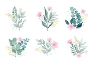 Watercolor leaves and flowers set