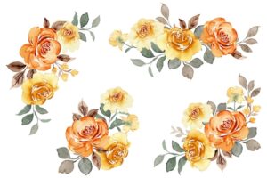 Yellow rose flower arrangement collection with watercolor
