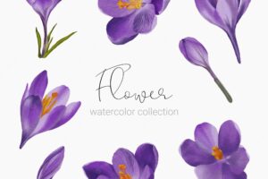 Beautiful bouquet of flowers and leave in water colors style