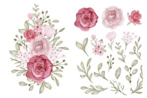 Beautiful flower watercolor isolated clip art