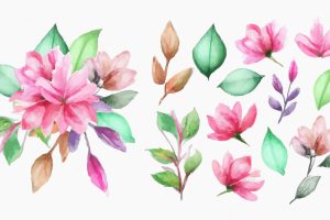 Beautiful set of bouquet of watercolor flowers and leaves. watercolor floral elements