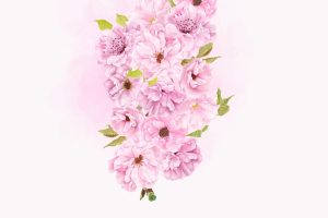 Beautiful watercolor cherry blossom background design