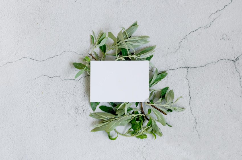 Blank business card mockup with green olive tree leaves on grey background
