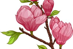 Bouquet of magnolia flower branch with pink flower and leaves illustrations composition with flowers