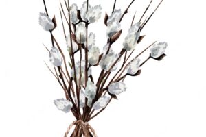A bouquet of tree branches and pussy willow illustration for easter