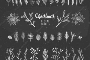 Christmas florals on chalkboard vector floral elements for winter holidays and seasonal decorations