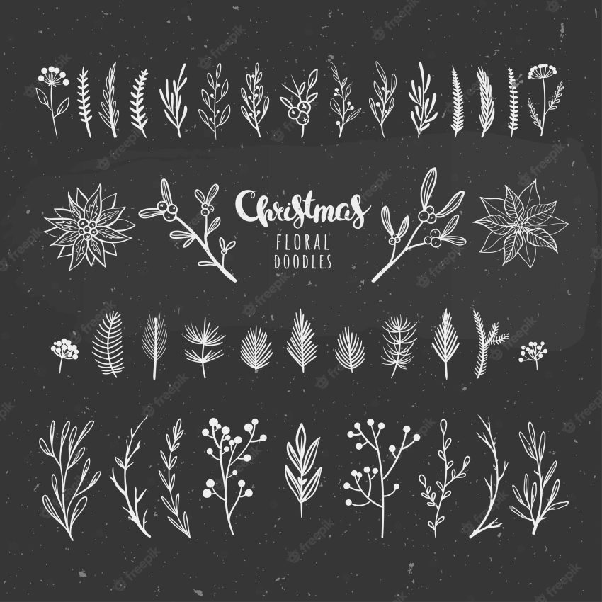 Christmas florals on chalkboard vector floral elements for winter holidays and seasonal decorations