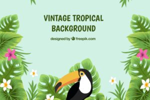 Classic tropical background with vintage style