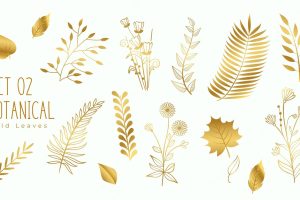 Collection of golden premium leaves elements