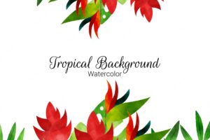 Colorful watercolor tropical background