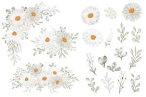 Daisy flower arrangement and flower leaves isolated clip art