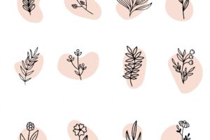 Flat design of linear leaves and flowers