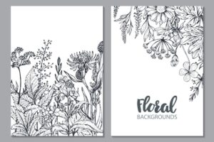 Floral backgrounds with hand drawn herbs and wildflowers monochrome
