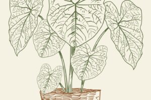 Floral plant hand draw vector illustration clip art