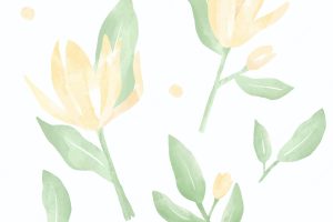 Floral watercolor illustration white champak magnolia flowers with leaves