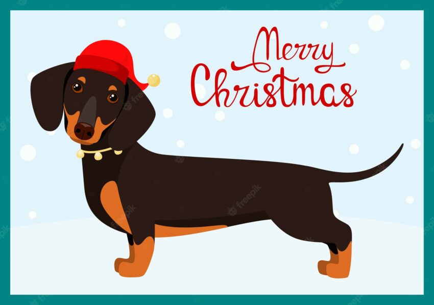 Funny dachshund in a red hat. christmas card. cartoon design.