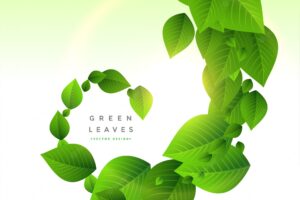 Green leaves background in swirl style