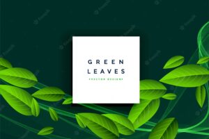 Green leaves floating background