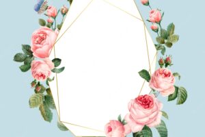 Hand drawn blank pink roses frame on blue background vector