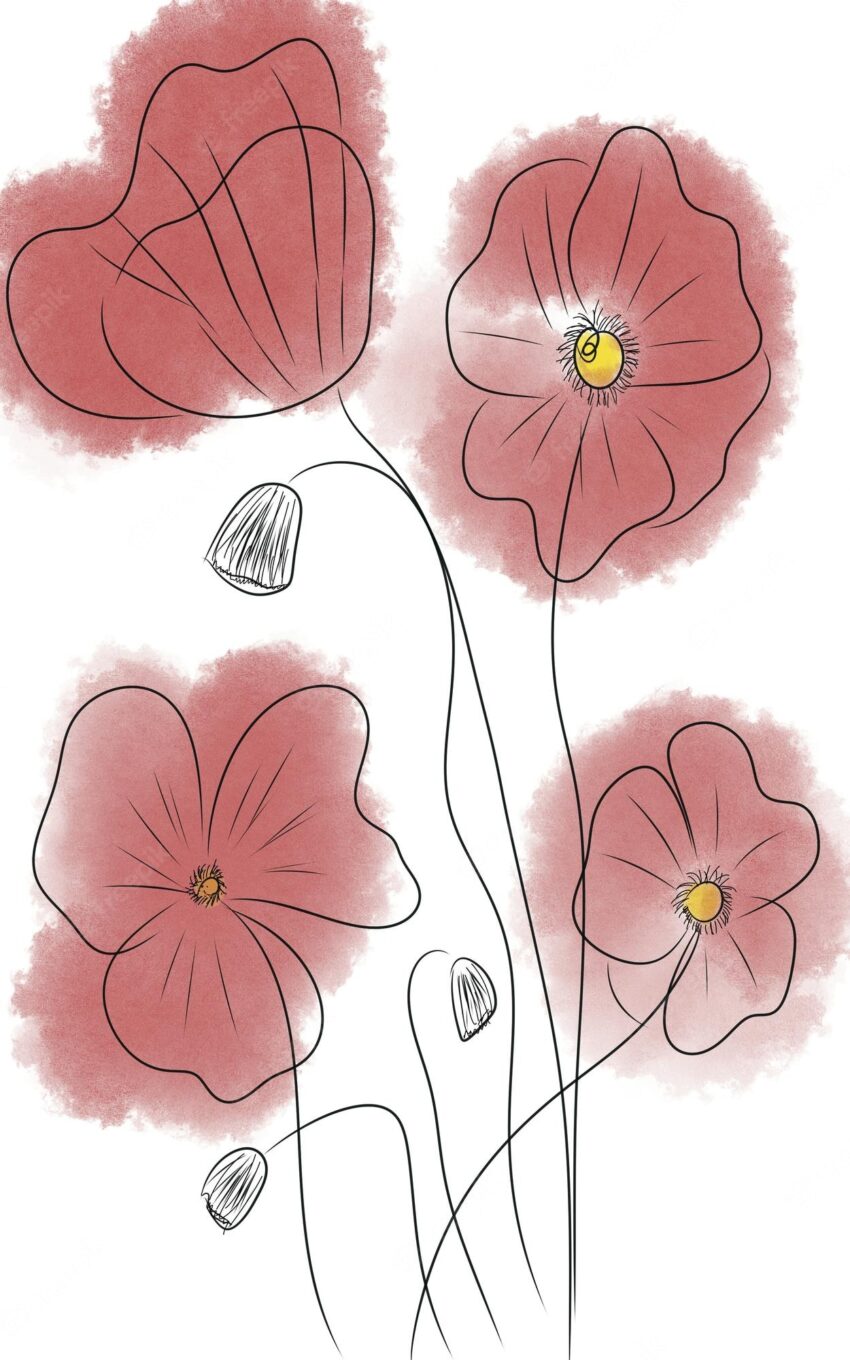Illustration of red poppies poppy flowers