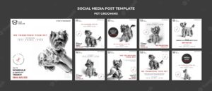 Instagram posts pack for pet grooming company