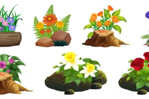 Large set of colorful flowers on rocks and wood