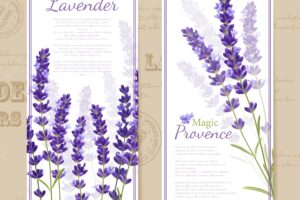 Lavender flower vertical banners