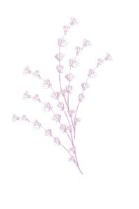 Lavender flowers vector sketch delicate floral bouquet for ceremony wedding cards