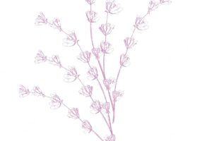 Lavender flowers vector sketch delicate floral bouquet for ceremony wedding cards