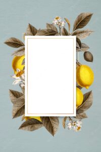 Lemon framed card