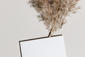 Mockup with blank paper business card and dried pampas grass over beige background with shadow